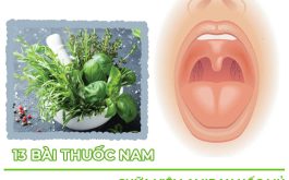 Các cách chữa viêm amidan hốc mủ bằng thuốc nam