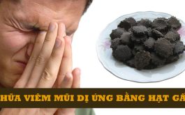 Chữa viêm mũi dị ứng bằng hạt gấc