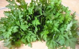 Chữa thoái hóa cột sống bằng lá ngải cứu là biện pháp được áp dụng khá phổ biến