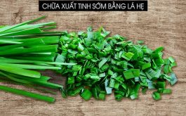 Chữa xuất tinh sớm bằng lá hẹ là một mẹo dân gian điều trị phổ biến