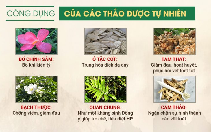 Công dụng một số thành phần bài thuốc Sơ can Bình vị tán