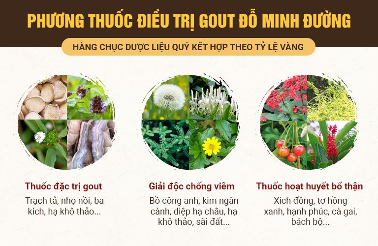 Bài thuốc Gout Đỗ Minh của Đỗ Minh Đường