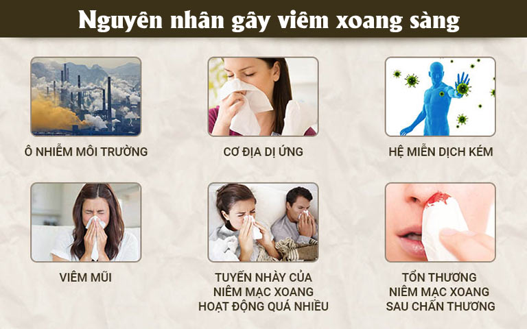 Nguyên nhân gây viêm xoang