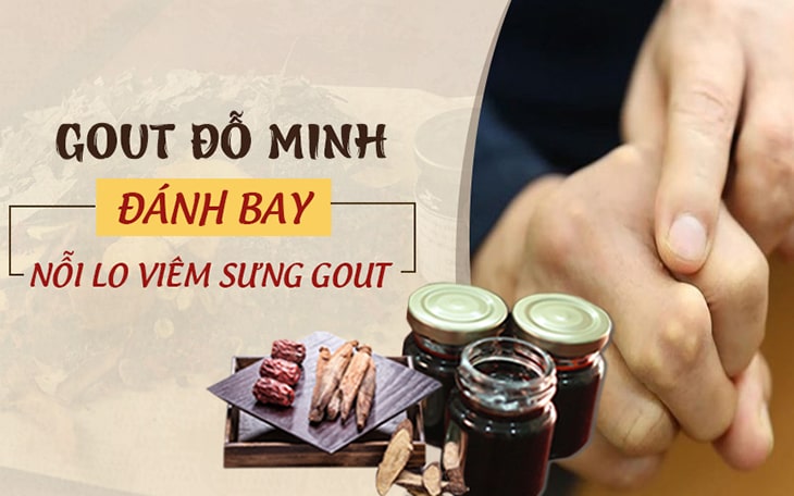 Bài thuốc gout Đỗ Minh Đường