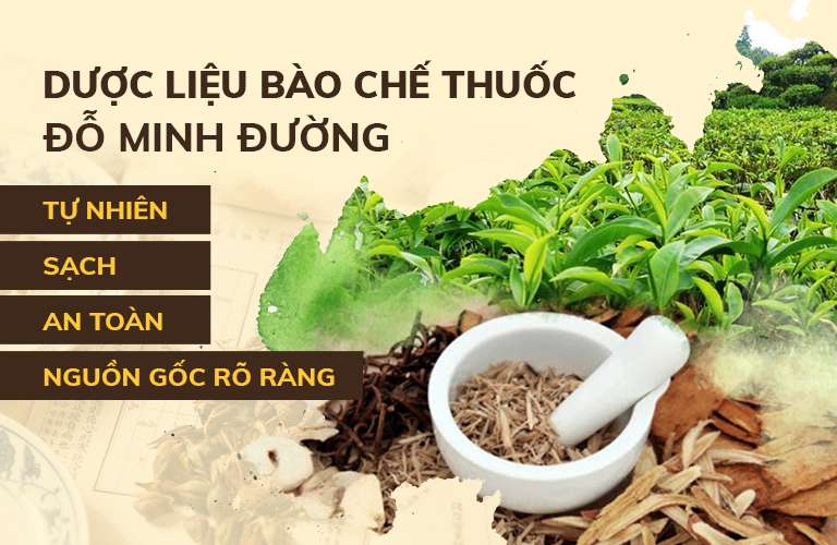 Dược liệu sạch làm nên bài thuốc Gout Đỗ Minh