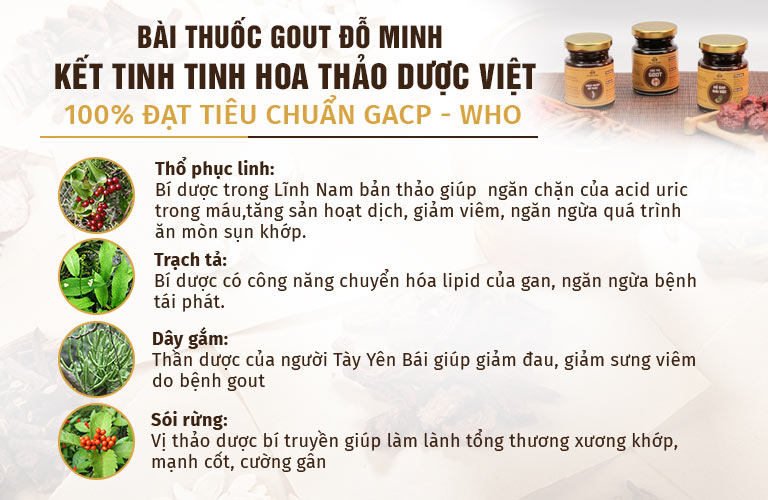 Thành phần trong bài thuốc Gout Đỗ Minh