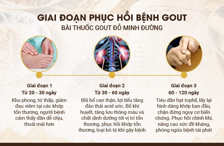 Các giai đoạn điều trị bệnh của bài thuốc Gout Đỗ Minh