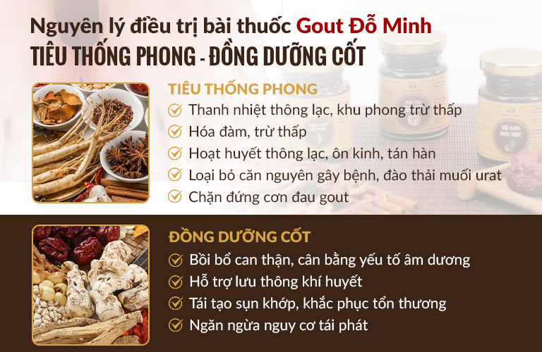 Nguyên lý chữa bệnh của bài thuốc Gout Đỗ Minh