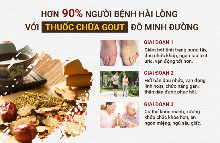 Bài thuốc gout đỗ minh