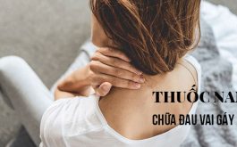 Các loại cây thuốc Nam chữa đau vai gáy hiệu quả dễ tìm