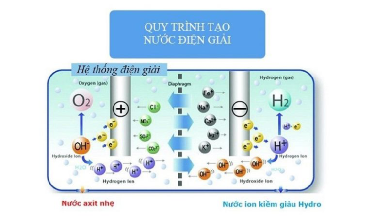 Quá trình tạo nước ion từ máy điện giải Kangen