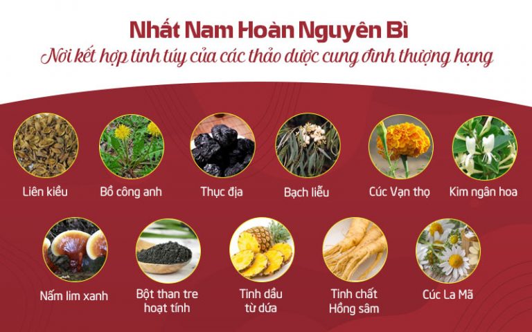 Nhất Nam Hoàn Nguyên Bì là sự kết hợp hào hòa của các thảo dược quý