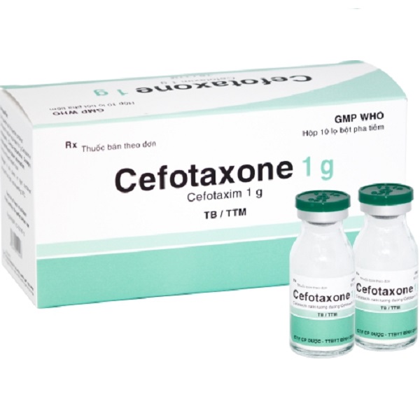 CEFOTAXONE 1 G – ĐIỀU TRỊ BỆNH NHIỄM KHUẨN NẶNG VÀ NGUY KỊCH