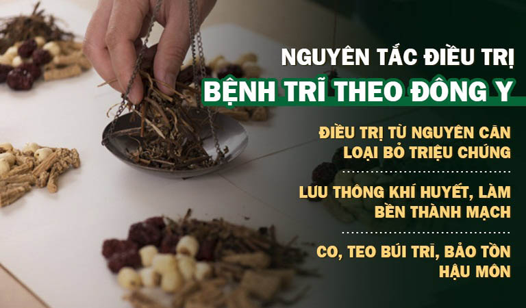 Điều trị bệnh trĩ theo quan điểm của Đông y