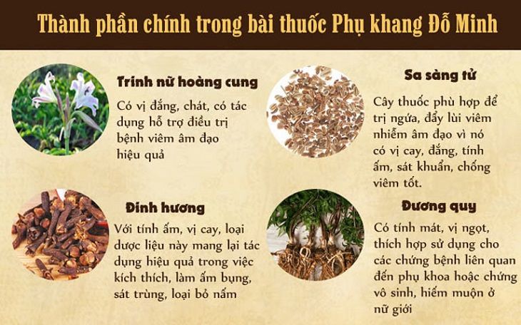 Thành phần chính trong bài thuốc Phụ Khang Đỗ Minh