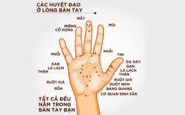 Bạn Có Biết Bấm Huyệt Bàn Tay Có Tác Dụng Chữa Bệnh Thần Kỳ?