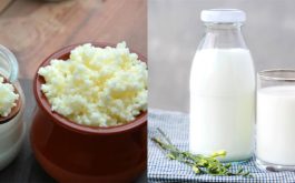 Cách làm sữa chua từ nấm sữa Kefir thơm ngon bổ dưỡng, đơn giản