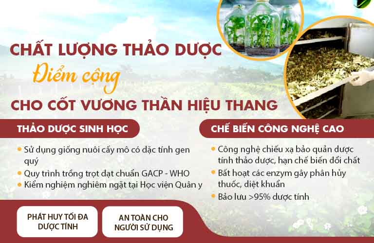 Cốt Vương thần hiệu thang duy trì chất lượng số 1 tại Việt Nam 