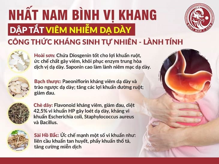 Kháng sinh thực vật được sử dụng trong bài thuốc