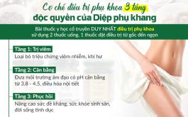 Lộ trình điều trị bệnh Phụ khoa với Diệp Phụ Khang, chữa bệnh dứt điểm, ổn định sức khỏe Phụ khoa toàn diện