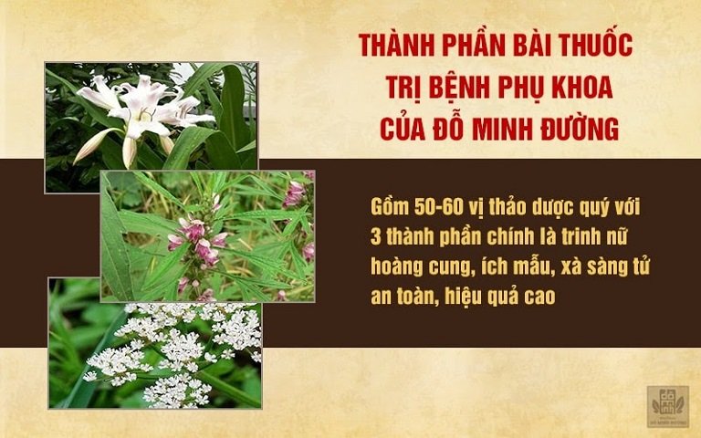 Thành phần bài thuốc Phụ khang Đỗ Minh lành tính