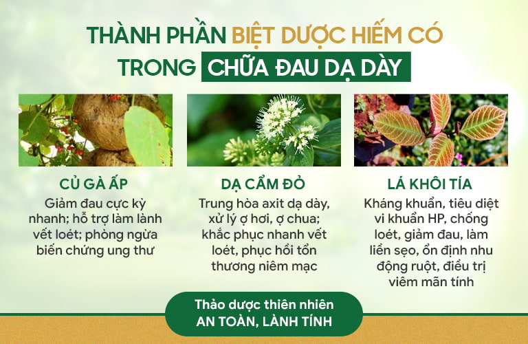 Sơ Can Bình Vị Tán Chữa Bệnh Dạ Dày DỨT ĐIỂM An Toàn Và Hiệu Quả