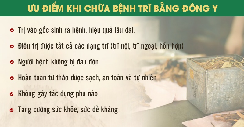 Top 5 Bài Thuốc Đông Y Chữa Bệnh Trĩ Hiệu Quả Nhất Hiện Nay