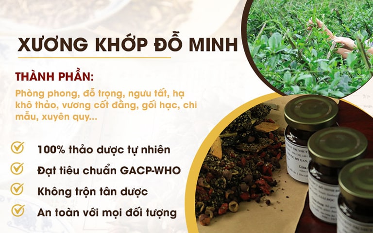 Thành phần bài thuốc đều là dược liệu sạch, đáp ứng tiêu chuẩn GACP - WHO