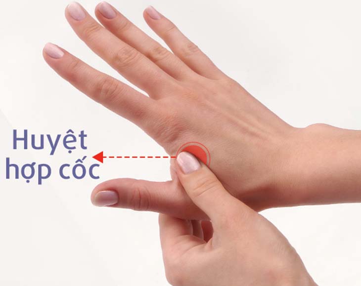 Huyệt Hợp Cốc: Huyệt Vị “Vạn Năng” Trên Cơ Thể Con Người