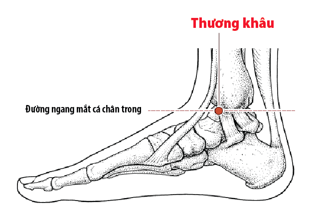 Huyệt thương khâu