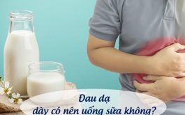 Đau Dạ Dày Có Nên Uống Sữa Không? Cần Lưu Ý Những Gì?