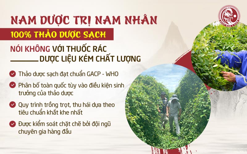 Thanh hầu bổ phế thang được điều chế từ nam dược sinh học chất lượng cao