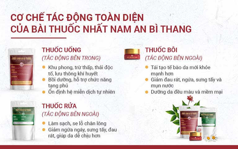 Những chế phẩm được kết hợp trong bài thuốc An Bì Thang