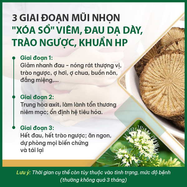 Lộ trình xử lý đau dạ dày của Sơ can Bình vị tán